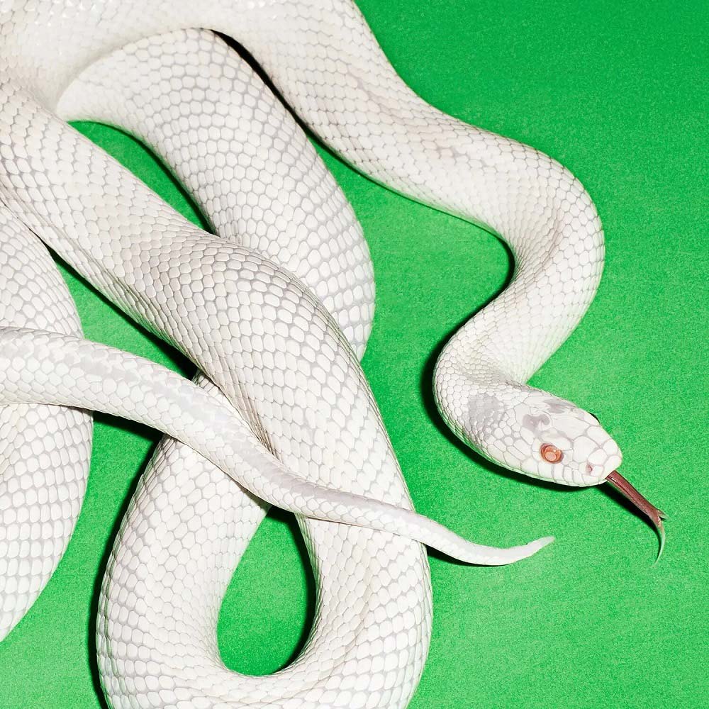 VINILO DEFTONES - PRIVATE MUSIC